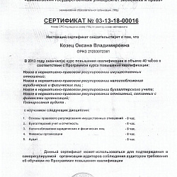 Сертификат о повышении квалификации от 22.11.2013 Козец О.В.
